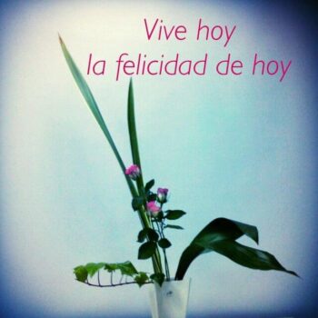 Meditación y el arte de vivir