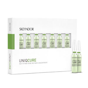 Mattifying pore refiner concentrate