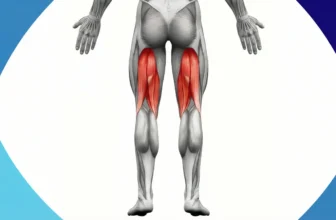 La importancia de tener unos músculos isquiotibiales saludables