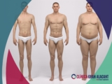 Tipos de cuerpo en hombres