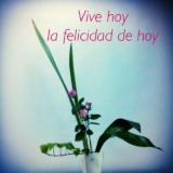 Meditación y el arte de vivir