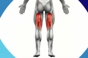 La importancia de tener unos músculos isquiotibiales saludables