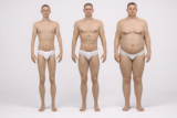 Tipos de cuerpo hombre